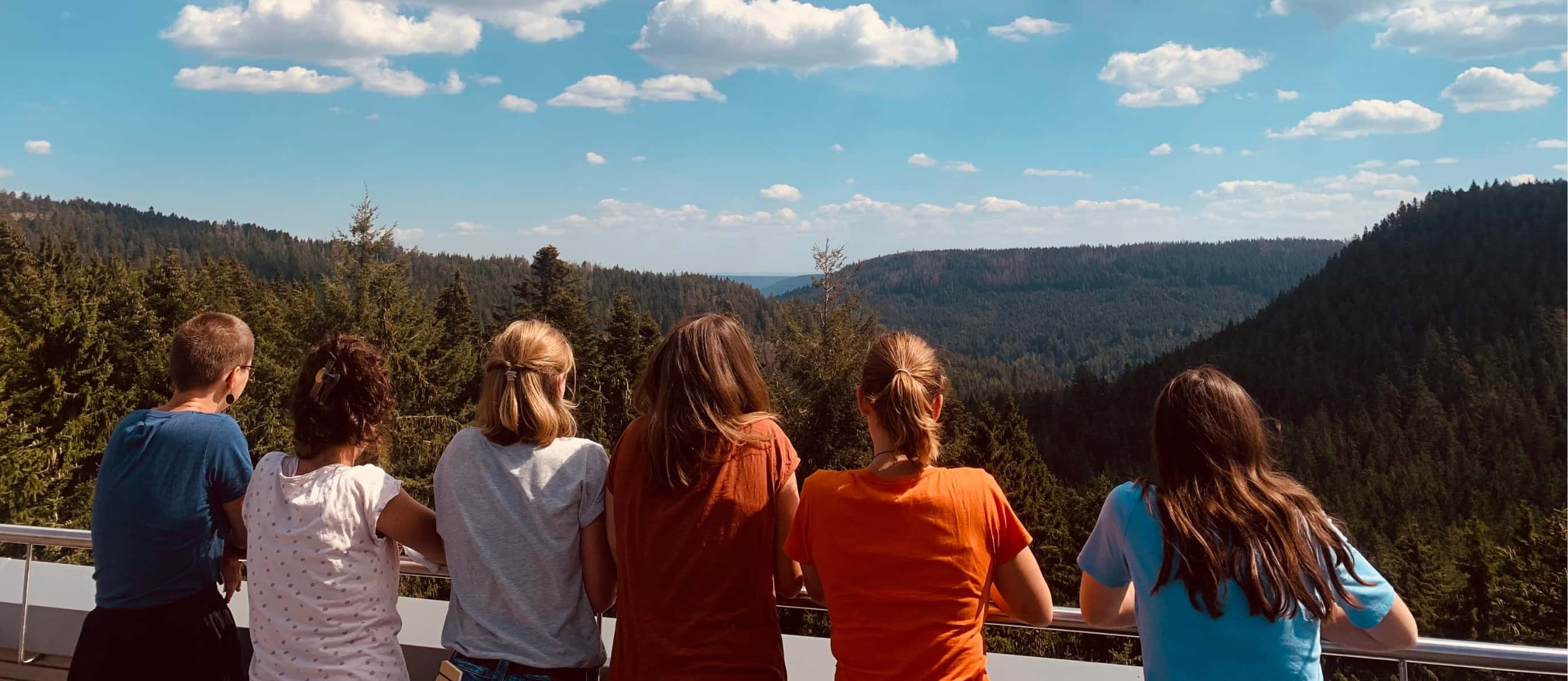 Sechs Menschen schauen auf Waldlandschaft.