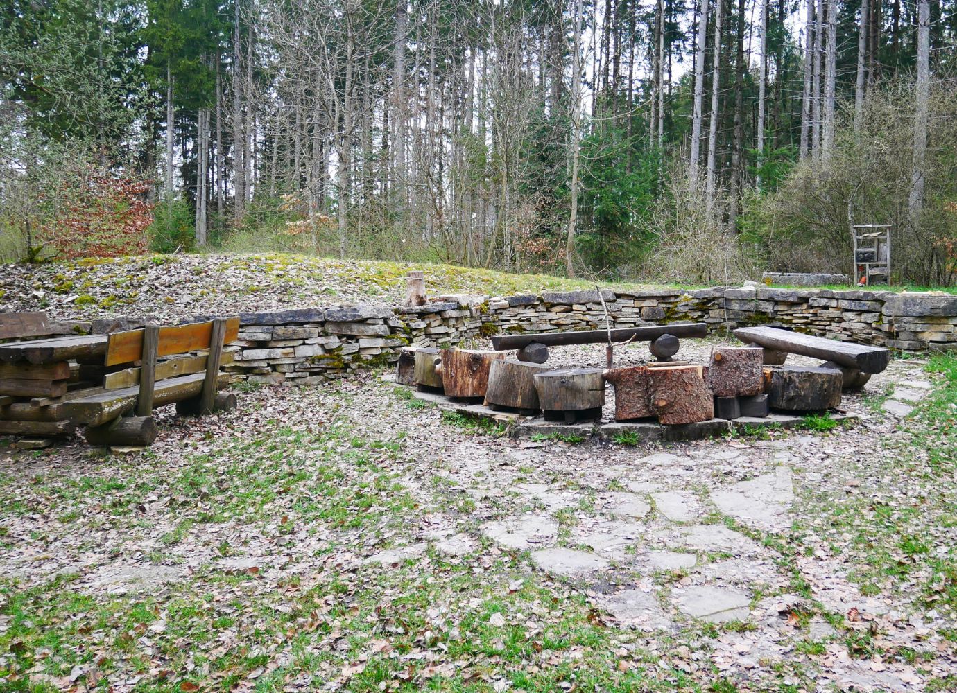 Rundfeuerstelle im Wald