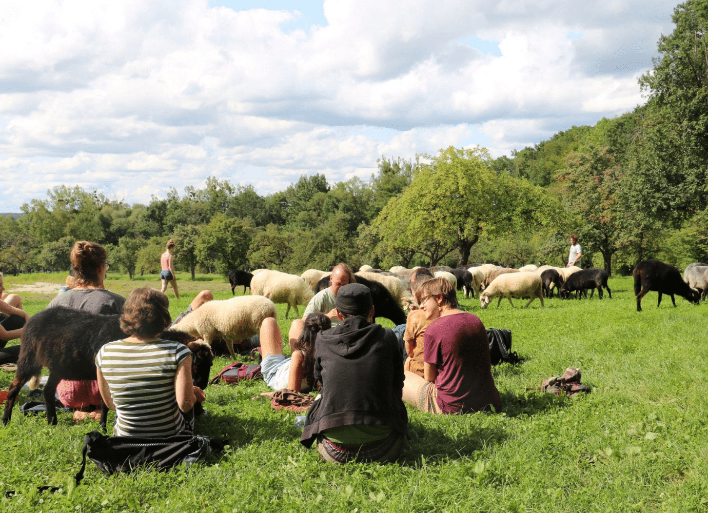 Gruppe von Menschen mit Schafen im Freien.