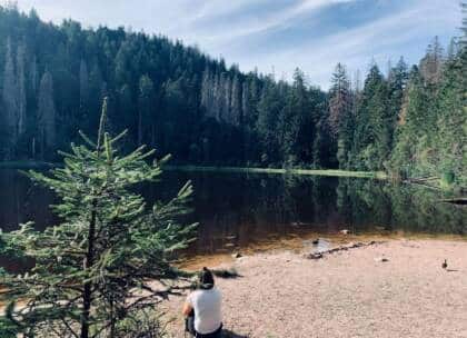 Person am Seeufer im Wald