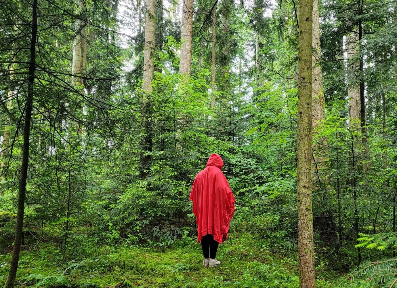 Person in rotem Kapuzenumhang im Wald